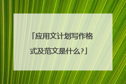 应用文计划写作格式及范文是什么?