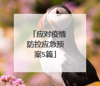 应对疫情防控应急预案5篇