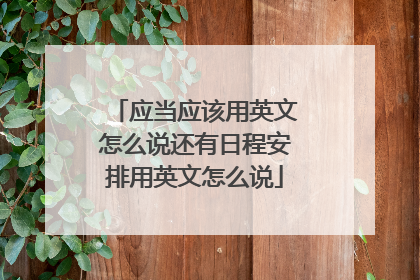 应当应该用英文怎么说还有日程安排用英文怎么说