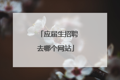 应届生招聘去哪个网站