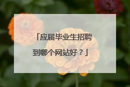 应届毕业生招聘到哪个网站好？
