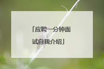 应聘一分钟面试自我介绍