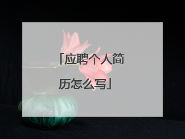 应聘个人简历怎么写