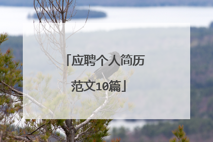 应聘个人简历范文10篇
