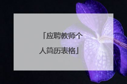 应聘教师个人简历表格