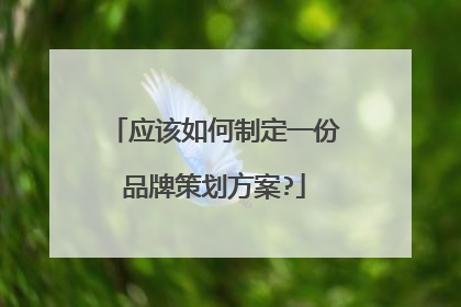 应该如何制定一份品牌策划方案?
