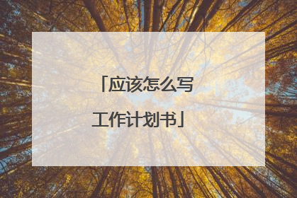 应该怎么写工作计划书