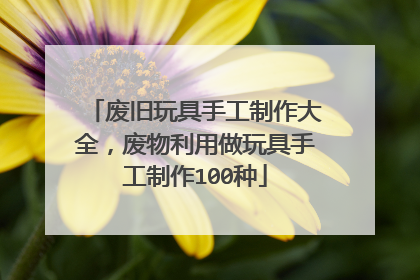 废旧玩具手工制作大全，废物利用做玩具手工制作100种