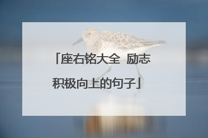 座右铭大全 励志积极向上的句子