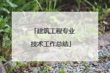 建筑工程专业技术工作总结