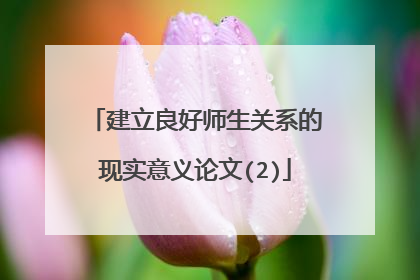 建立良好师生关系的现实意义论文(2)