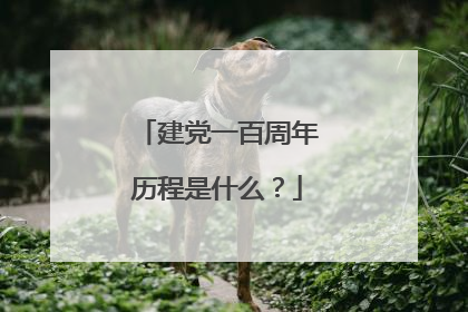 建党一百周年历程是什么?
