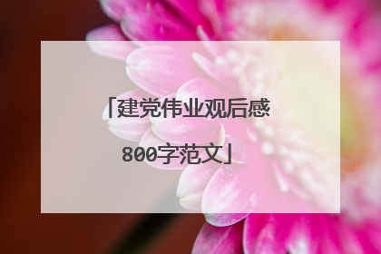 建党伟业观后感800字范文