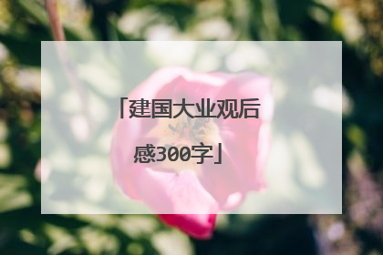 建国大业观后感300字