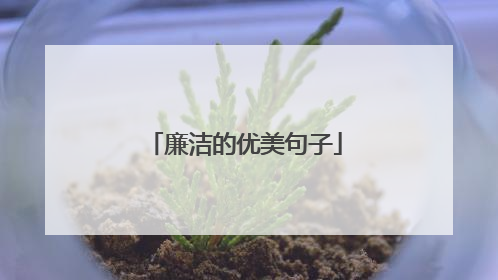 廉洁的优美句子