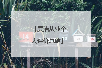 廉洁从业个人评价总结