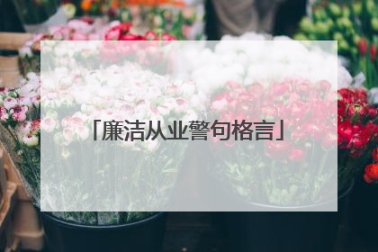 廉洁从业警句格言