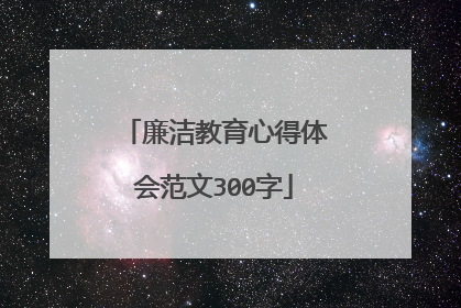 廉洁教育心得体会范文300字