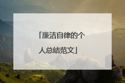 廉洁自律的个人总结范文