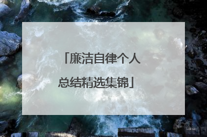 廉洁自律个人总结精选集锦