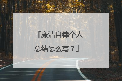 廉洁自律个人总结怎么写?