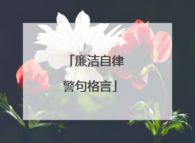 廉洁自律警句格言