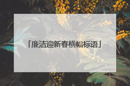 廉洁迎新春横幅标语