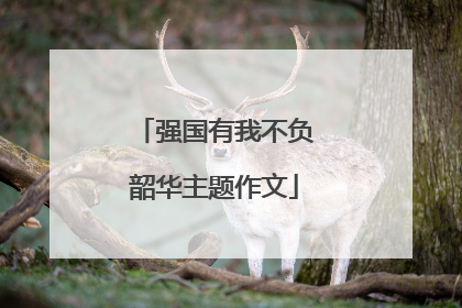 强国有我不负韶华主题作文