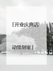 开业庆典活动策划案