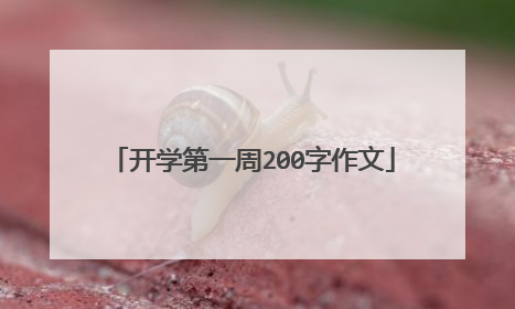 开学第一周200字作文