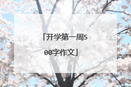 开学第一周500字作文