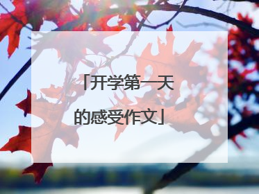 开学第一天的感受作文