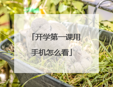 开学第一课用手机怎么看