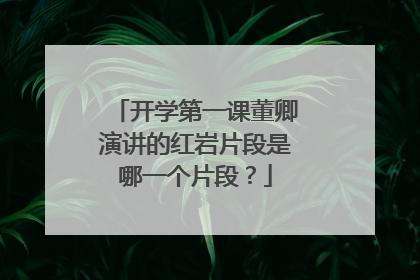 开学第一课董卿演讲的红岩片段是哪一个片段？