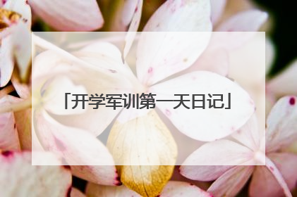 开学军训第一天日记