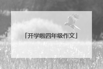开学啦四年级作文