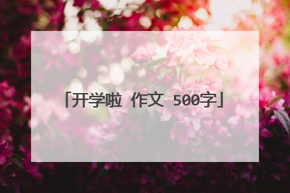 开学啦 作文 500字