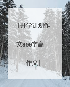 开学计划作文800字高一作文