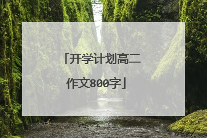 开学计划高二作文800字
