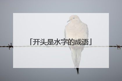 开头是水字的成语