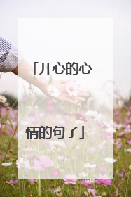 开心的心情的句子