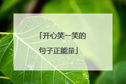 开心笑一笑的句子正能量