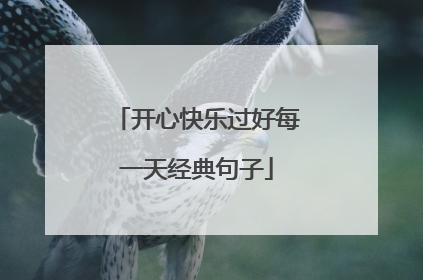 开心快乐过好每一天经典句子