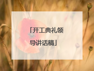 开工典礼领导讲话稿