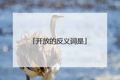 开放的反义词是