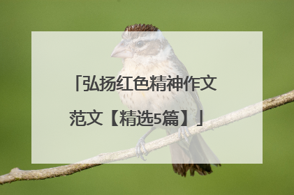 弘扬红色精神作文范文【精选5篇】