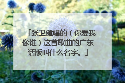 张卫健唱的(你爱我像谁)这首歌曲的广东话版叫什么名字。
