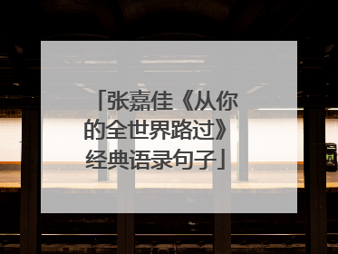 张嘉佳《从你的全世界路过》经典语录句子