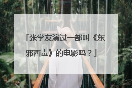 张学友演过一部叫《东邪西毒》的电影吗？