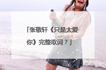 张敬轩《只是太爱你》完整歌词?